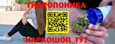 СК Гатчина