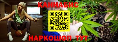 СК Гатчина