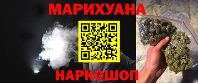 СК Гатчина
