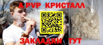 СК Гатчина