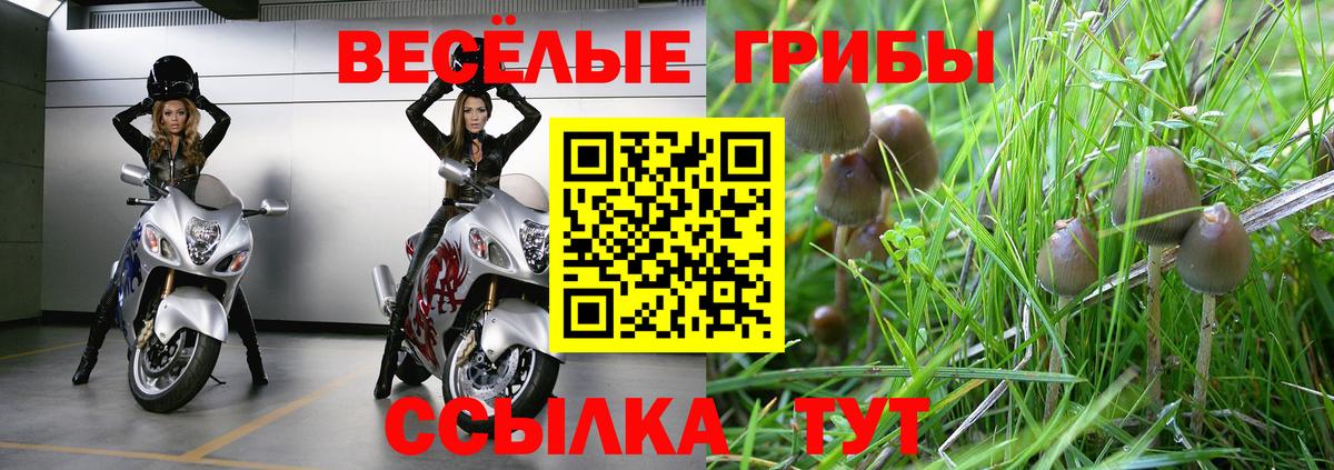 Галлюциногенные грибы MAGIC MUSHROOMS Кушва
